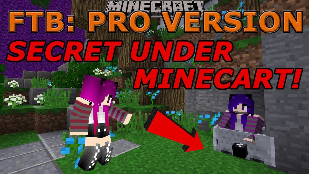 Minecraft: Secret Under the Minecart! / Find the Button Pro Version / Janet and Kate