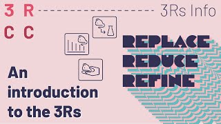 Celebrity Introduction to the 3Rs and the work of the JRC educational activities Profile
