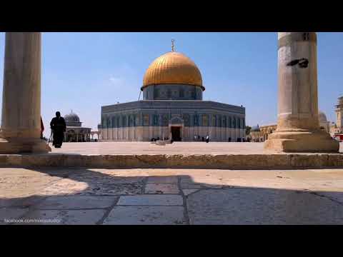 سنأتي اليك نشد الرحال