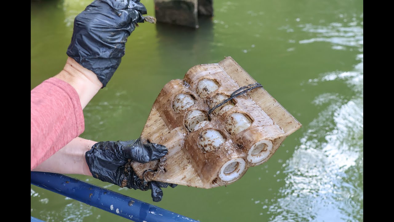 Finding PFAS "forever chemicals" in the Chattahoochee River