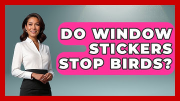 Do Window Stickers Stop Birds? - Bird Watching Diaries