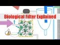 Biological Filtration Explained | Ask The Aquaponics God