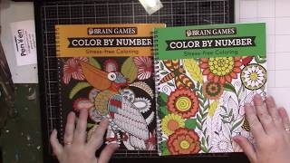 Flip: Two Brain Games Color by Number Coloring Books screenshot 2