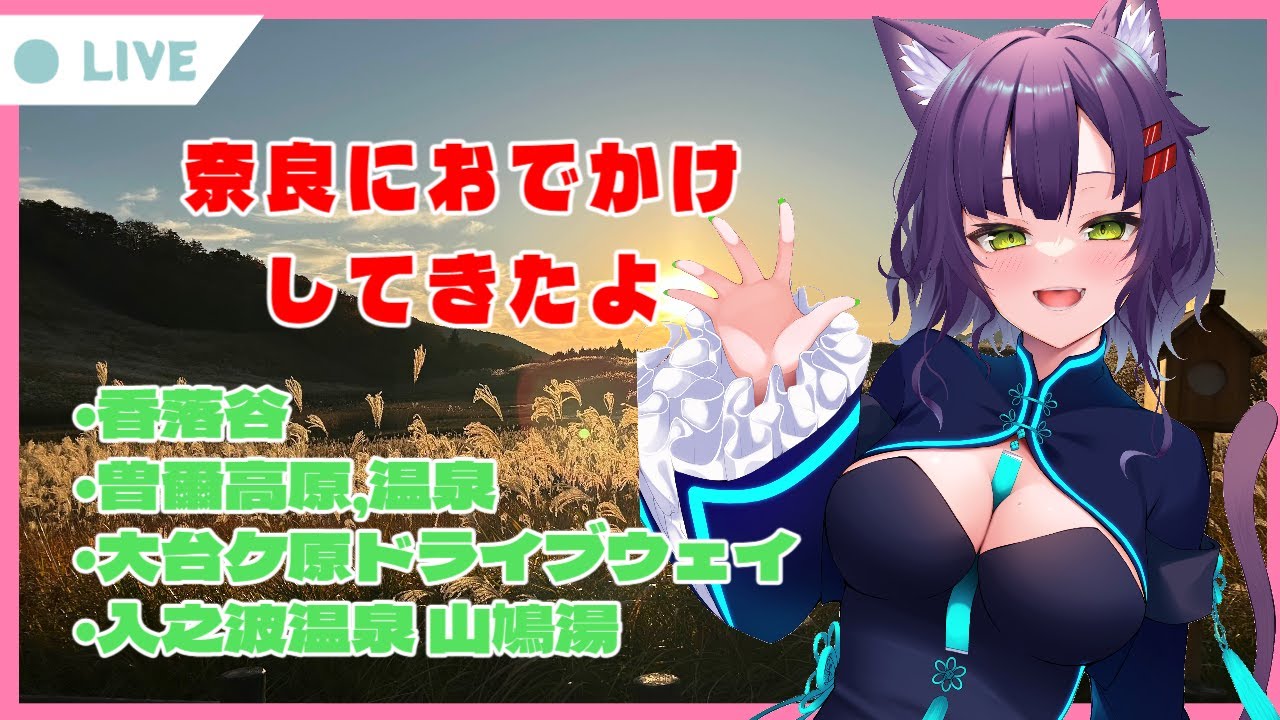 [VRChat/雑談配信]2週連続で奈良に行ってきたよ。香落谷/曽爾高原/大台ケ原ドライブウェイ/入之波温泉[vtuber] 