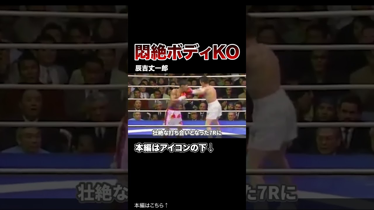 【これは立てない!】世界の怪物をぶっ壊した悶絶ボディKO7選!【ボクシング/格闘技】#格闘技 #ボクシング #MMA