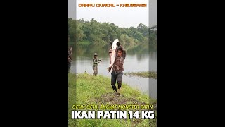 Monster Patin di Danau Ciuncal - Cibarusah Kab. Bekasi