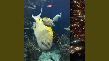 ੂ࿃ूੂළඕั✧✧ı̴̴̡ ̡̡͡|̲̲̲͡ ̲̲̲͡͡π̲̲͡͡...