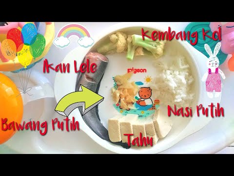 Mpasi Ikan Lele
