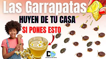 ¿Qué puede matar las garrapatas al instante?