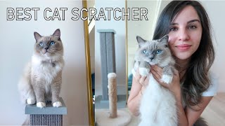 Best Cat Scratcher || Our Review by Hanan Majid 2,229 views 2 years ago 10 minutes, 45 seconds