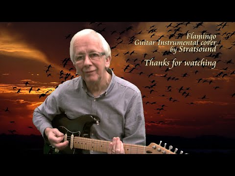 Film 4K the colorful world of flamingos - Relaxing piano music healing