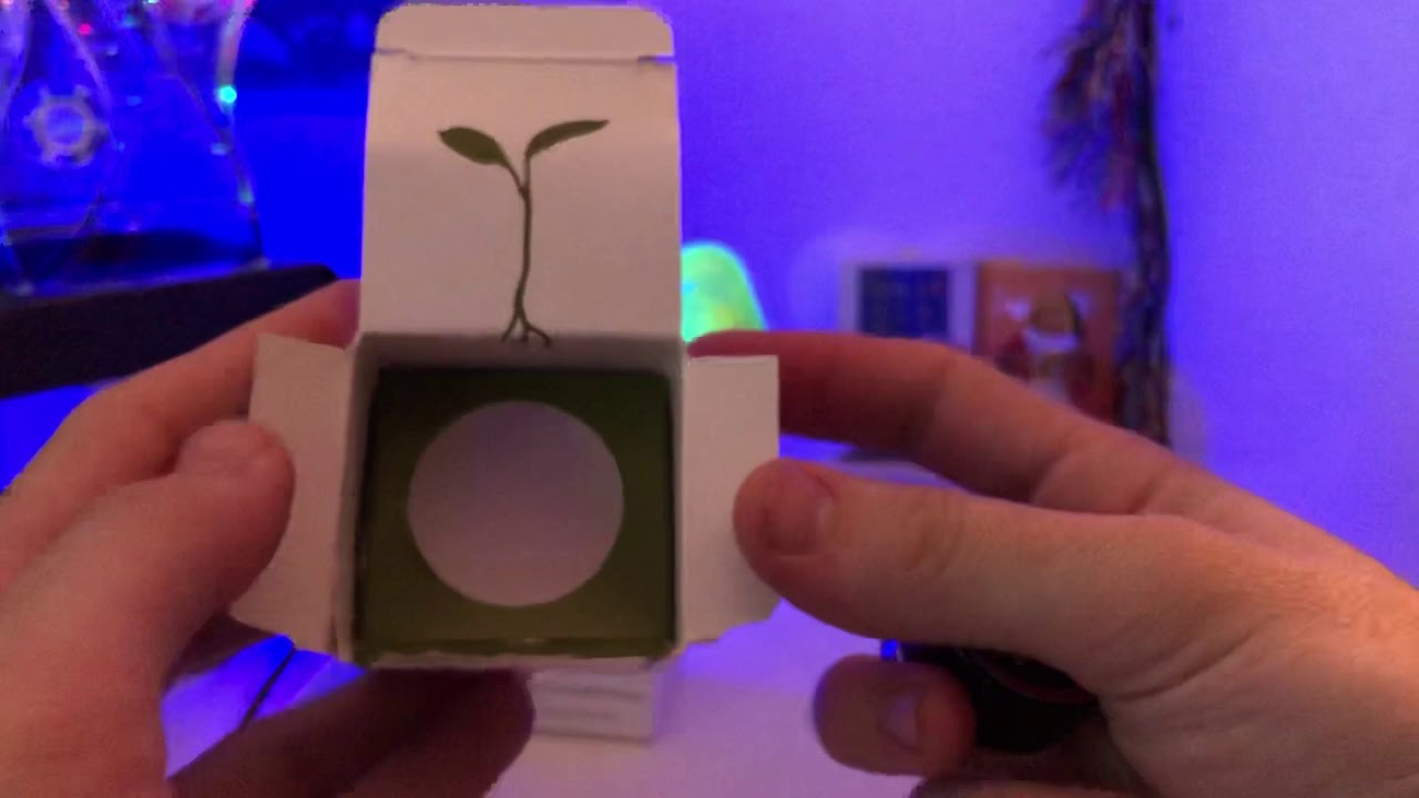 ASMR Cannabis Unboxing - Raw Garden Live Resin & Sauce [No Talking] [Tapping Sounds]