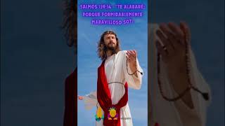 🙏🙇♂️DTB