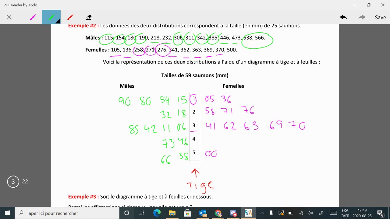 Diagramme à Tige et à Feuille