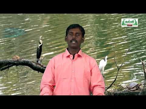 6th Std KALVI TV Science Video - அறிவியல் | விலங்குகள் வாழும் உலகம் | அலகு 5 | பருவம் 1