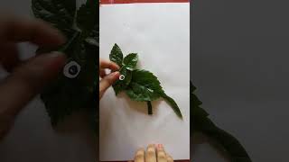 #shorts #viral #trending #craftypihu  musak maharaj  #leaf mouse