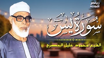 تلاوة مؤثرة من سورة يس 🌹 تبعث الطمأنينة والسكينة في القلوب 🕊️ #سورة_يس #quran #القرآن #يس