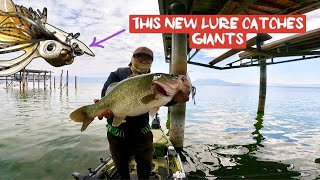 Giant Bass on Clear Lake