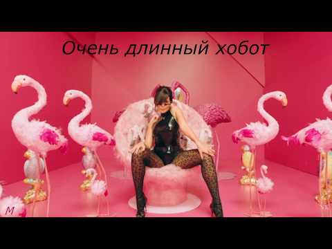 NK - ELEFANTE /  перевод песни на русский