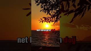 başarı #motivation #disiplin #motivasyon #kararlılık #hedef #başarı #fypシ #kişiselgelişim #edit