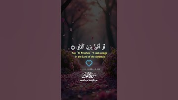 #قرآن #اكسبلور #آيات #دويتو #ذكر #حالات واتس #اسلاميات #لايك #تلاوة #duet 1