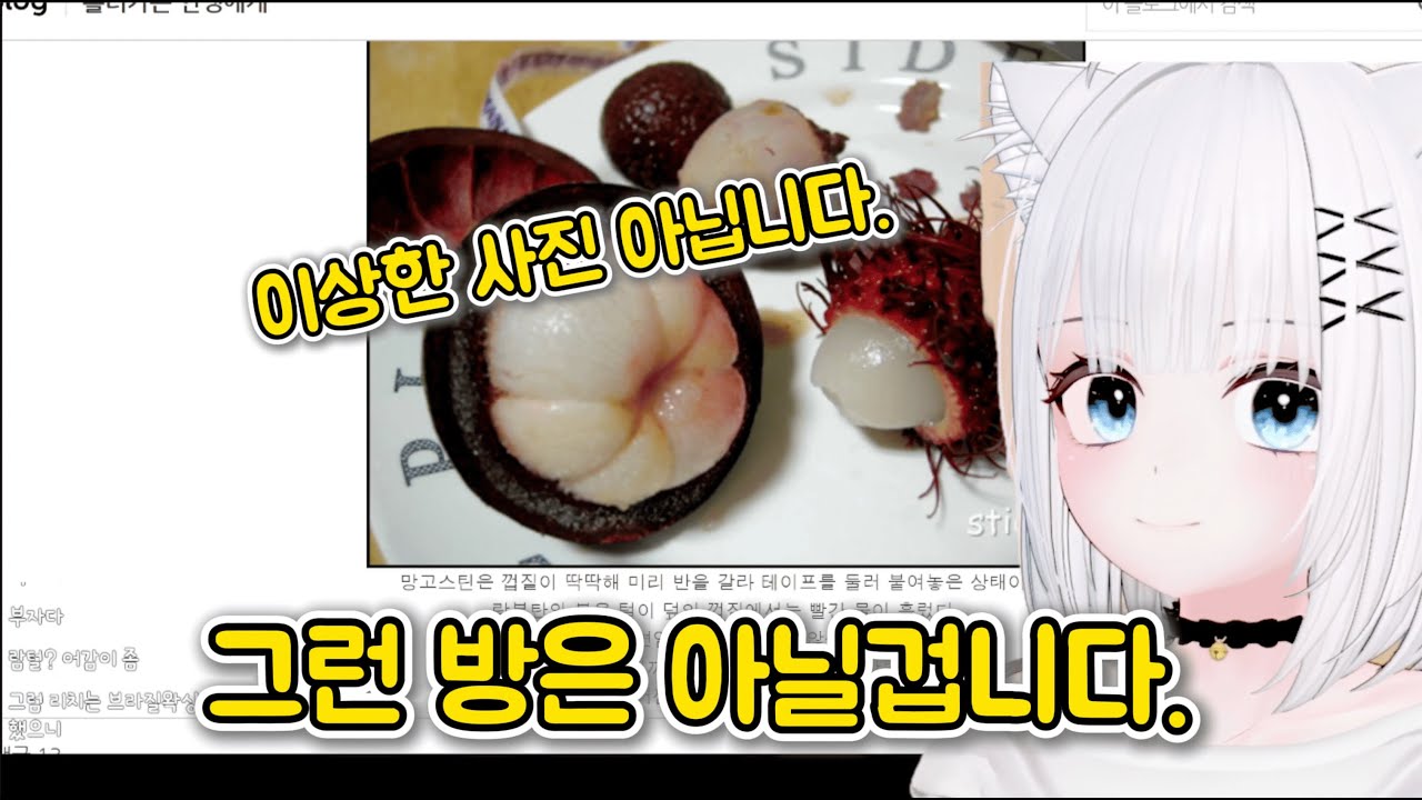 말랑말랑 탱글탱글