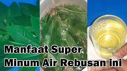 Jarang Diketahui, Ini Manfaat Super Rebusan Daun Singkong