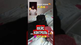 Остановите кошачий расизм #тренды #блогеры #юмор