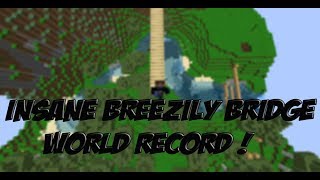 Minecraft INSANE BREEZILY..