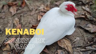 Campsite Review || Kenaboi Adventure Camp, Jelebu Negeri Sembilan
