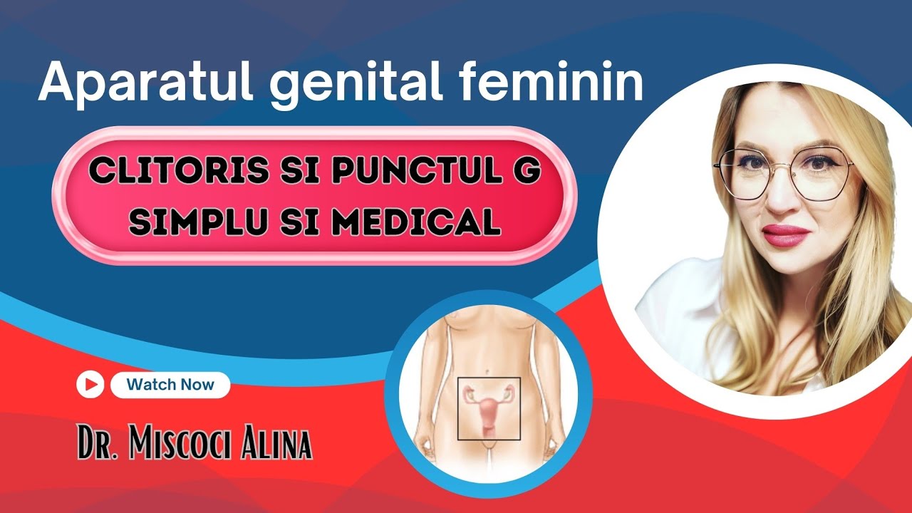 Aparatul Genital Feminin Explicat – Clitoris, Punctul G și Sănătatea Sexuală