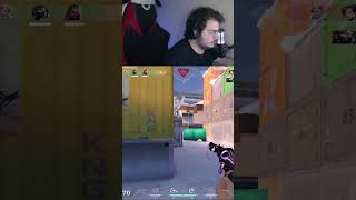 Hobbi̇temo Bela Şfet