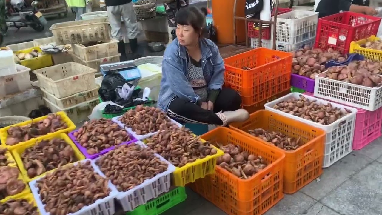 起早去丹东普通的一个早市，物价便宜的惊人，只恨自己眼大肚子小