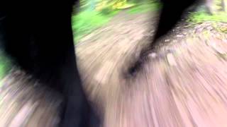 GoPro Hero 2 Doggy Style
