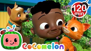 We Love Our Pets! | CoComelon | Nursery Rhymes for Kids | Moonbug Kids Express Yourself!