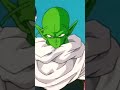 piccolo vs taureau