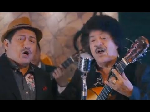 GRINGA FALSETA Aladino