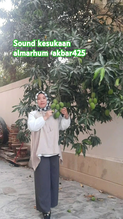 viral sound bugis kesukaan almarhum dek akbar425 monitor excavator inip8 morowali #shortsvideo