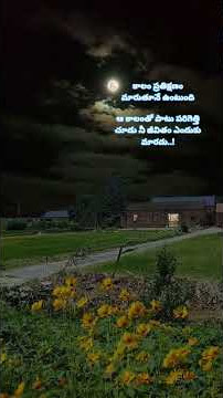 73/1000#girlsnightout #goodnight🌙 #goodnightworld #nightview #nightclub #vegasnightlife #nycnightlif