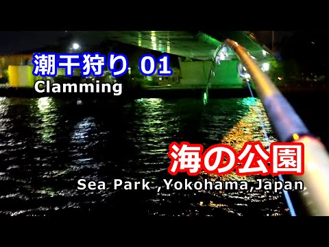 無料の潮干狩り 海の公園 横浜 編 Youtube