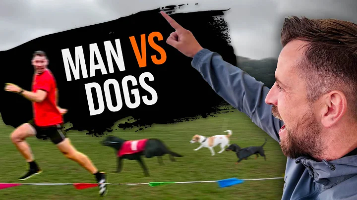 The MADDEST Race I Have EVER BET ON! | Let's Go Whippet Racing