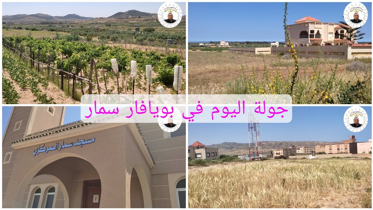 جولة اليوم في سمار بويافر