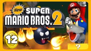 Ich hätte jetzt gerne ein kühles Glas Wasser! 💰 New Super Mario Bros. 2 #12 screenshot 3