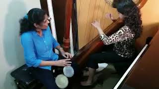 Senorita | Zindagi Na Milega Dobara | Harp - Bongo Duo