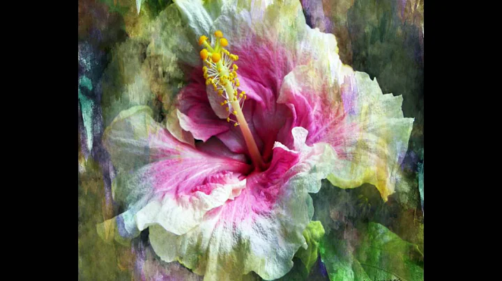 Floral Art by Neal Wiseman