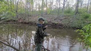 Steelhead Trout worm for Largemouth Bass