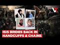 Terror, Slavery... | Australian ISIS Brides Return From Syria Camps In Handcuffs With Kids | VERTEX