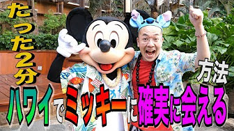 ディズニー ハワイ アウラニ編 ディズニー大好き芸人 Youtube