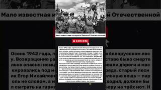 «Как гармошка спасла партизан от диверсии | Неизвестные истории ВОВ»