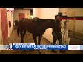 Kenny celebrates Thistledown Race Track's 100th Birthday